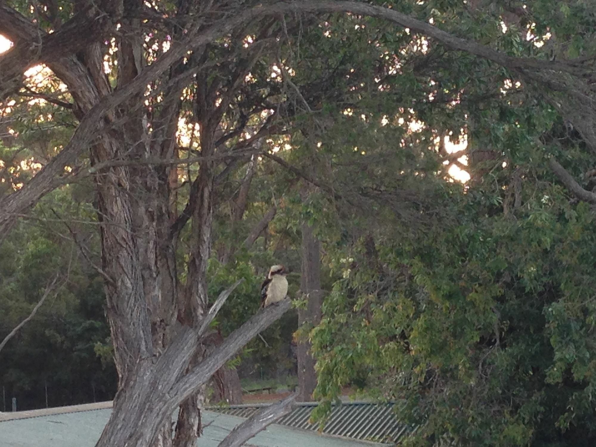 Jervis Bay Mariners Motel Huskisson Bagian luar foto